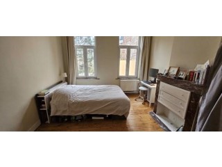 Colocation dans une magnifique maison de maître