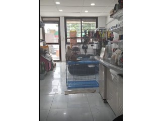 Location de magasin au 2 plateau latrille