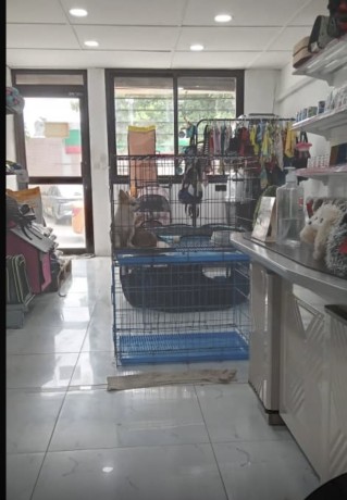 location-de-magasin-au-2-plateau-latrille-big-0