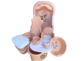 gamme-de-bassine-bear-familly-small-3