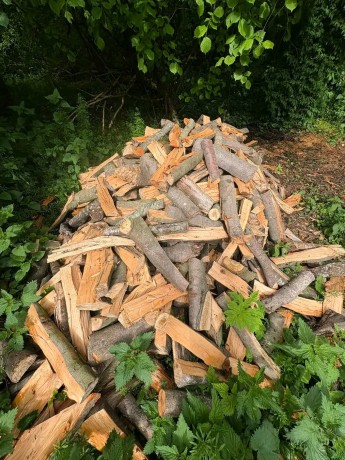 bois-de-chauffage-big-1