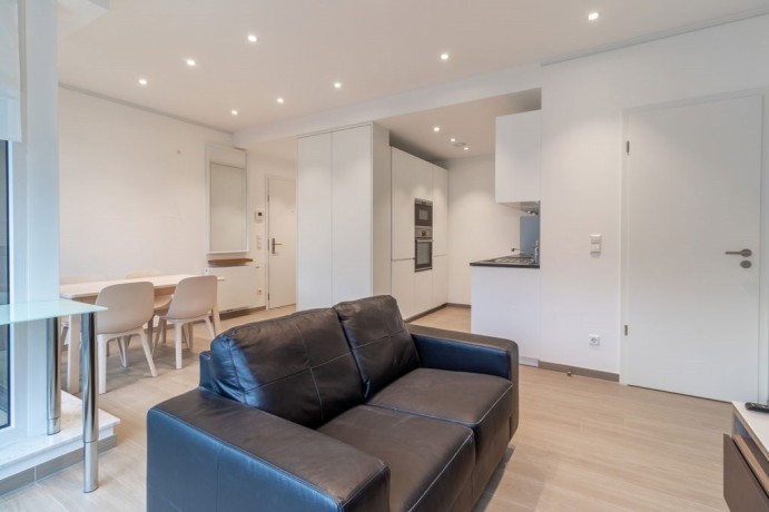 appartement-meuble-de-deux-pieces-a-cessange-big-1