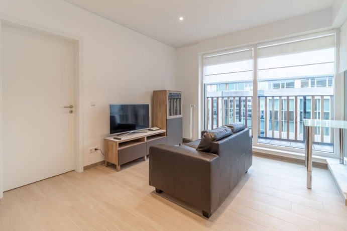 appartement-meuble-de-deux-pieces-a-cessange-big-0