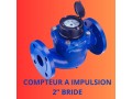 compteur-a-impulsion-brid-haute-precision-pour-systemes-dosmose-inverse-small-0