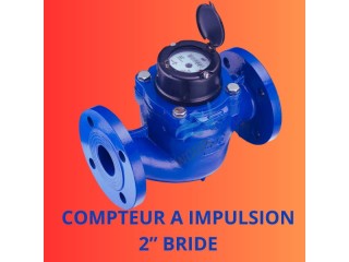 Compteur à Impulsion BRID Haute Précision pour Systèmes d’Osmose Inverse