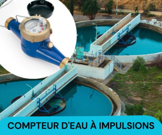 compteur-puritti-a-impulsion-usage-professionnel-big-0