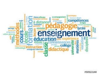 Cours de langues étrangères par visio.