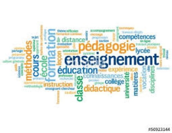 cours-de-langues-etrangeres-par-visio-big-0