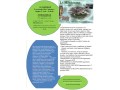4-gicirctes-piscine-classeacutes-2dans-mas-typiquement-ardeacutechois-small-0