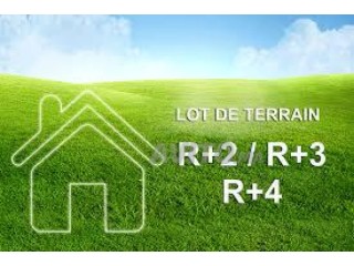Terrain à vendre Ouled teima 1ha. Zone immeuble