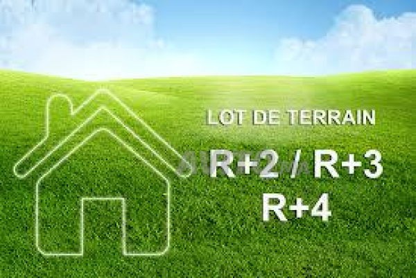 terrain-a-vendre-ouled-teima-1ha-zone-immeuble-big-0