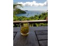 vente-maison-mer-antilles-francaises-6-pieces-quebec-canada-small-0