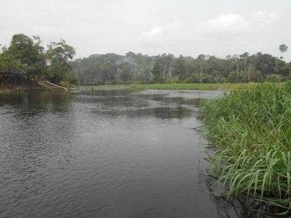 500-hectares-de-terrain-agricole-agrave-louer-agrave-mengang-cameroun-big-0