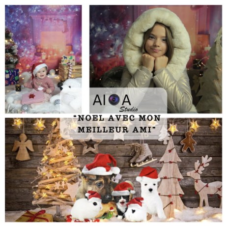 mini-sessions-shooting-de-noel-avec-vos-animaux-de-compagnie-big-0