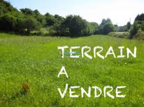 prix-encourageant-terrain-foukayaa-big-0