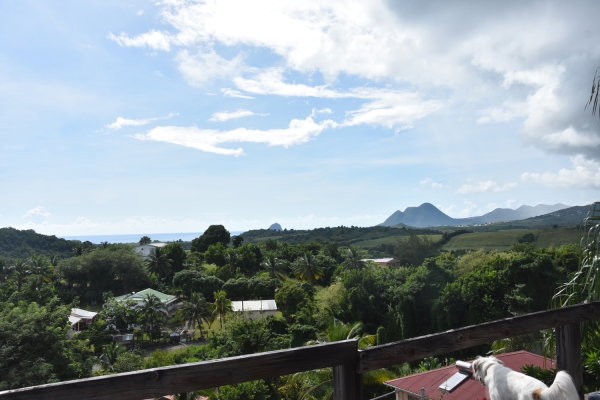 ensemble-immobilier-en-martinique-big-0