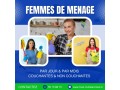 femme-de-menage-par-mois-a-el-menzah-small-0