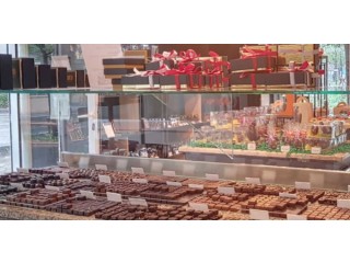 Chocolaterie boutique et laboratoire murs et fonds