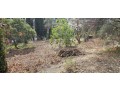 terrain-a-batir-800m2-small-0