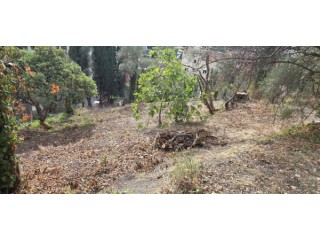 TERRAIN A BATIR 800M2