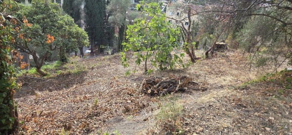 terrain-a-batir-800m2-big-0
