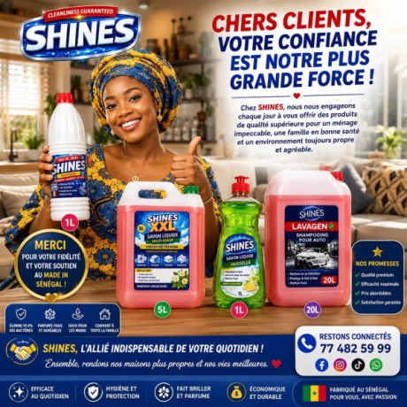 produits-d-entretien-shine-a-vendre-big-0