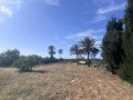 terrain-constructible-et-viabilise-2887m2-situe-a-dimes-bekalta-5090-tunisie-small-0