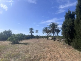 Terrain constructible et viabilisé 2887m2 situé à DIMES BEKALTA 5090 (TUNISIE)