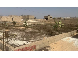 Terrains de 150 mètres carrés à vendre au Lac rose Sénégal