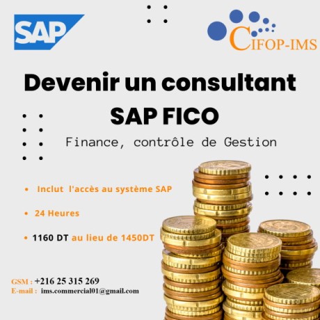 formation-sap-fico-finance-comptabiliteacute-gestion-big-0