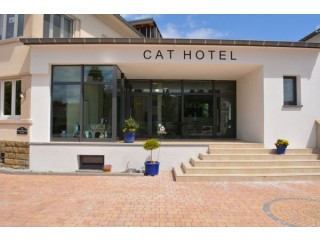 Pension pour chats www.cathotel.lu