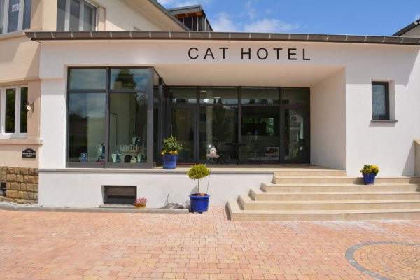 pension-pour-chats-wwwcathotellu-big-0