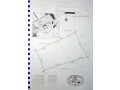 terrain-verger-bien-place-de-1ha15-tf-individuel-a-noflaye-bambilor-small-0