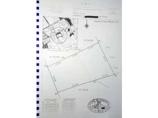 Terrain verger bien placé de 1ha15 TF individuel à Noflaye Bambilor
